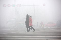 ���������ر����ʳ��